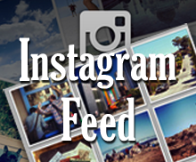 Social Instagram Feed