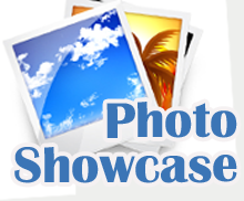 Social Photo Showcase